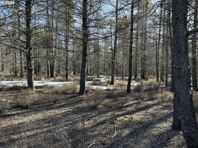 a view of outdoor space with trees