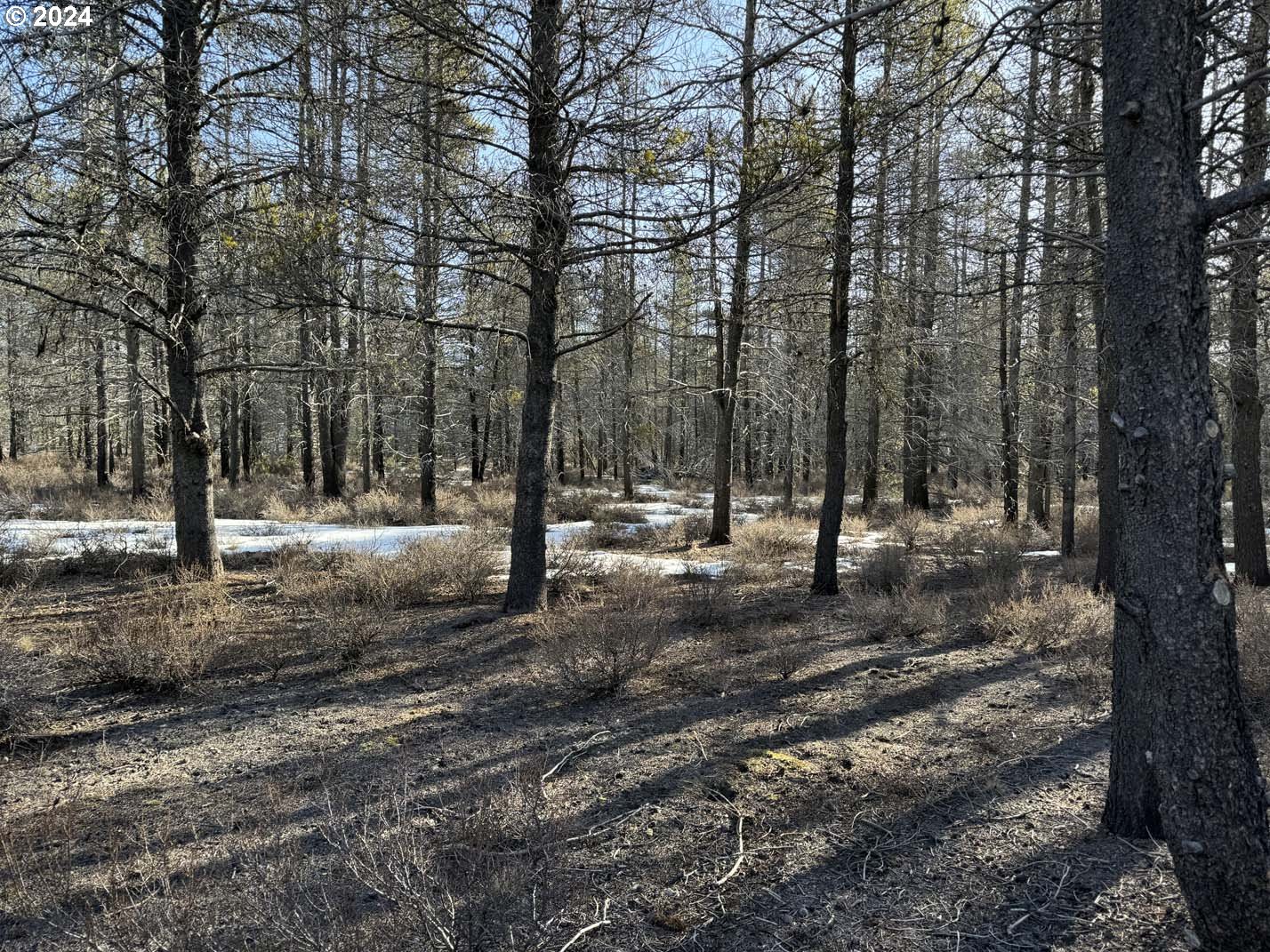 Scott View Drive Chiloquin, OR 97624 - Photo 19 of 24 a view of outdoor space with trees