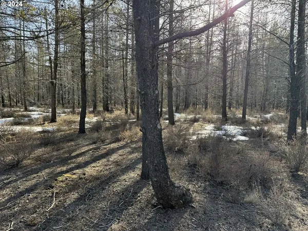 $19,000 | Scott View Drive, Chiloquin, OR 97624