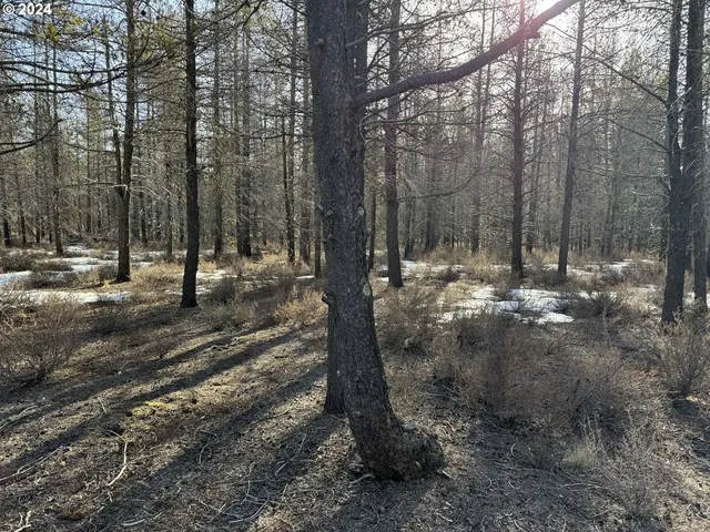 a view of a backyard of the house