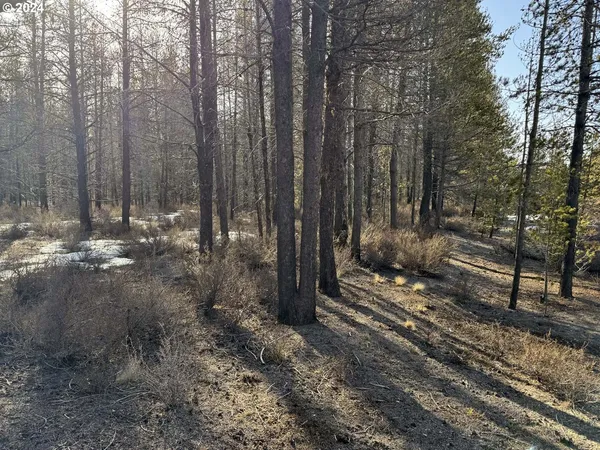 $19,000 | Scott View Drive, Chiloquin, OR 97624