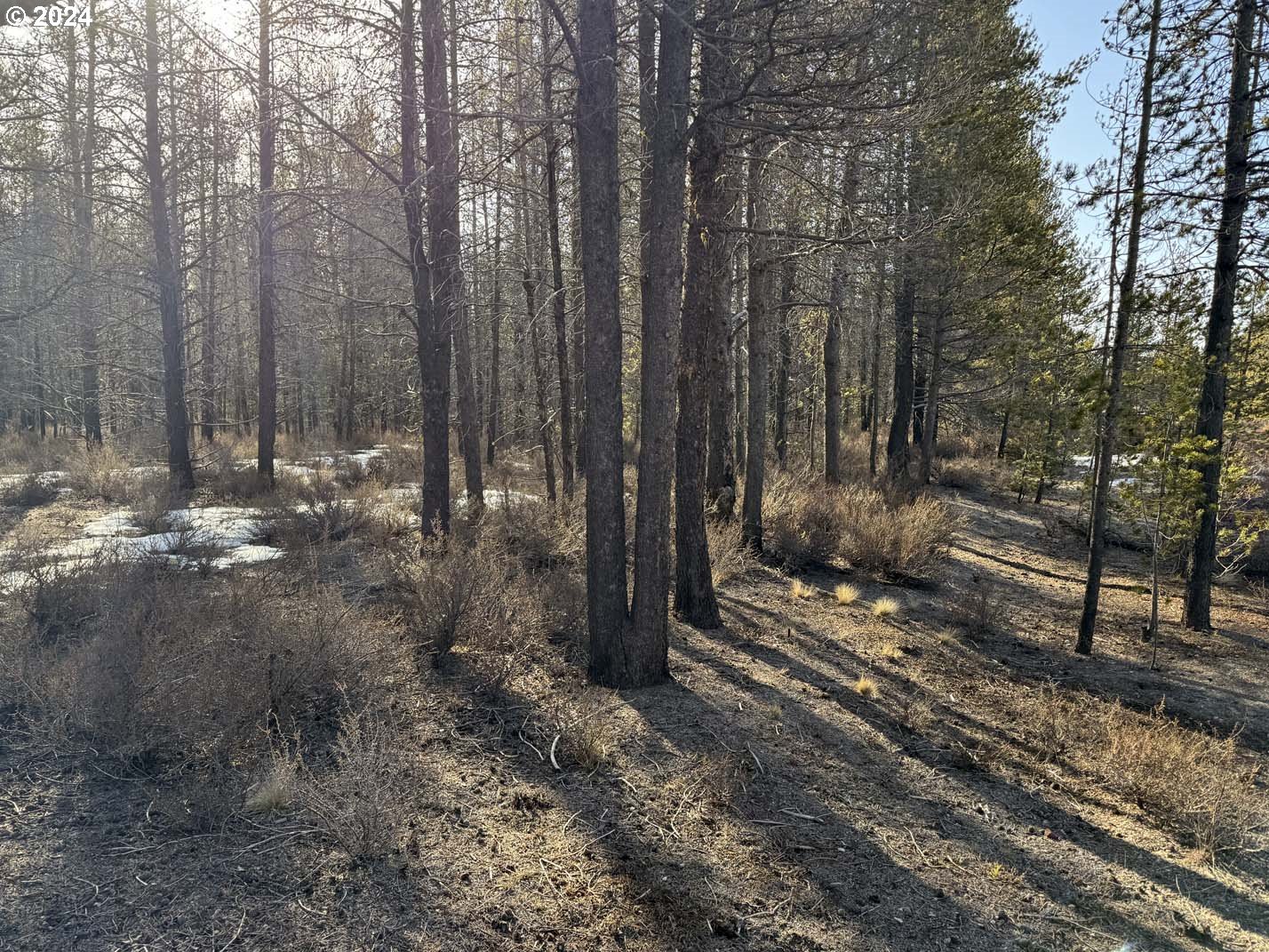 Scott View Drive Chiloquin, OR 97624 - Photo 21 of 24 a view of a backyard of the house