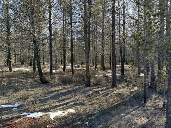 $19,000 | Scott View Drive, Chiloquin, OR 97624