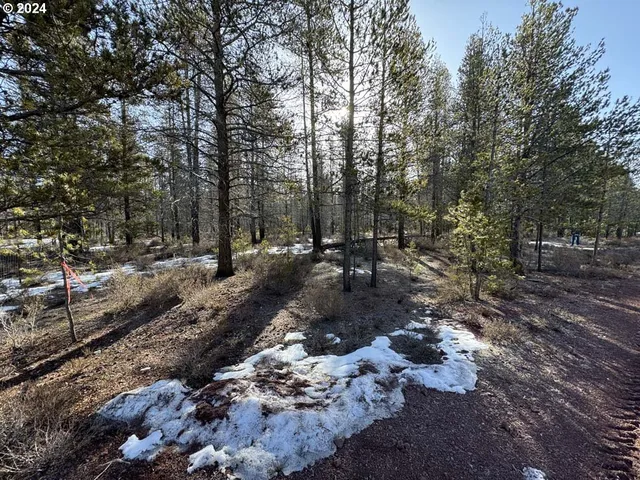 a view of outdoor space with lots of trees