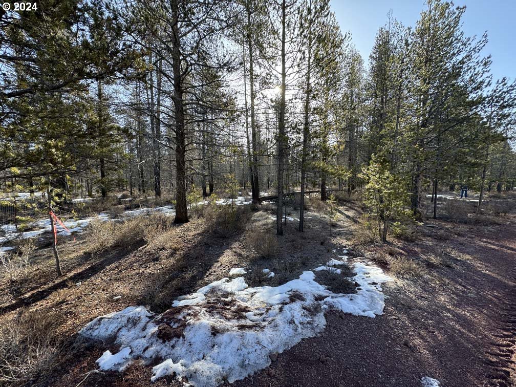 Scott View Drive Chiloquin, OR 97624 - Photo 6 of 24 a view of outdoor space with lots of trees