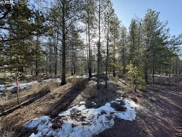 $19,000 | Scott View Drive, Chiloquin, OR 97624