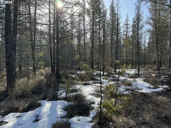 $19,000 | Scott View Drive, Chiloquin, OR 97624