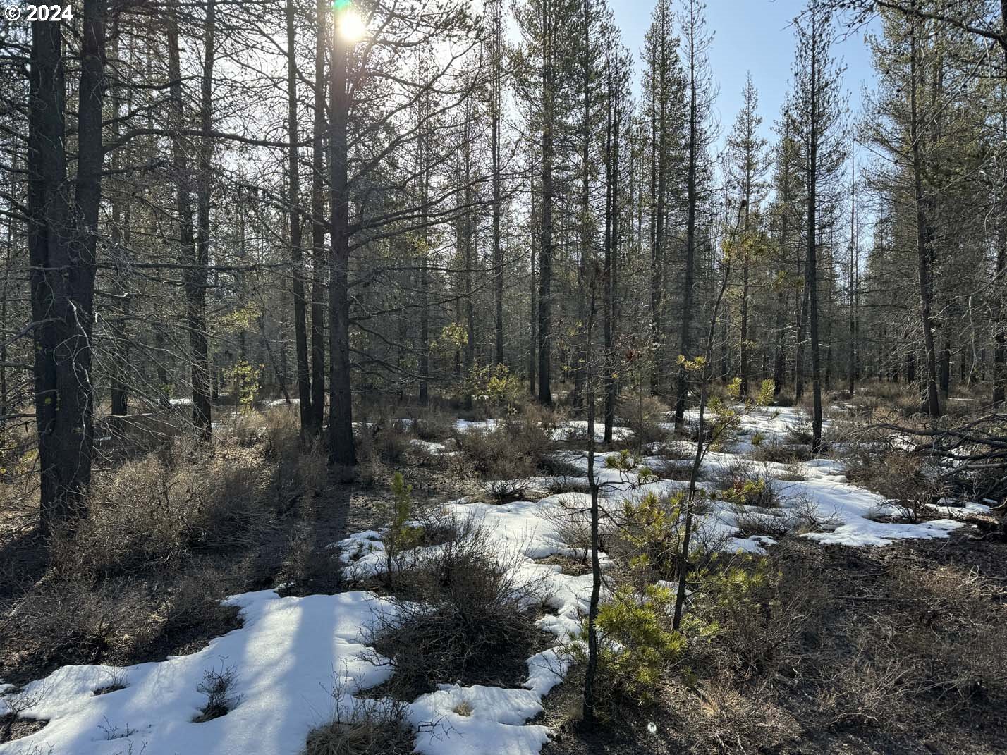 Scott View Drive Chiloquin, OR 97624 - Photo 8 of 24