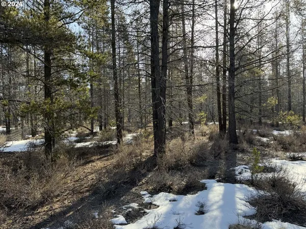 $19,000 | Scott View Drive, Chiloquin, OR 97624