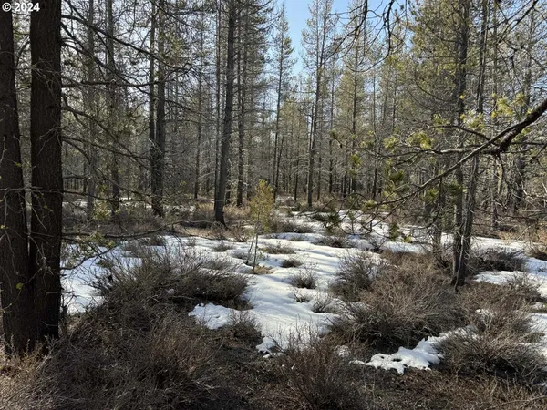 $19,000 | Scott View Drive, Chiloquin, OR 97624