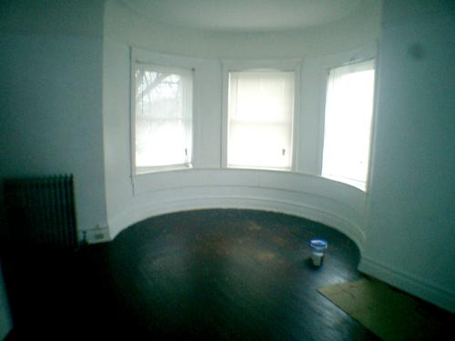 352 South Hamlin Boulevard Chicago, IL 60624 - Photo 4 of 12 an empty room with a window