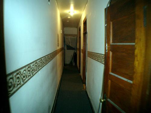 352 South Hamlin Boulevard Chicago, IL 60624 - Photo 6 of 12