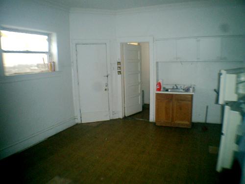 352 South Hamlin Boulevard Chicago, IL 60624 - Photo 8 of 12 a view of an empty room with a window