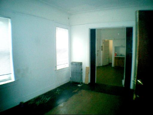 352 South Hamlin Boulevard Chicago, IL 60624 - Photo 9 of 12 a view of an empty room