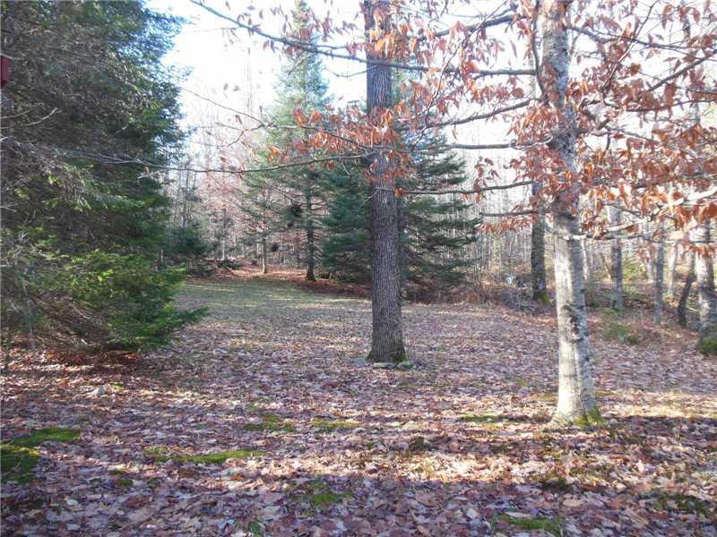 70 Mitchell Road Sangerville, ME 04479 - Photo 11 of 16 Land.