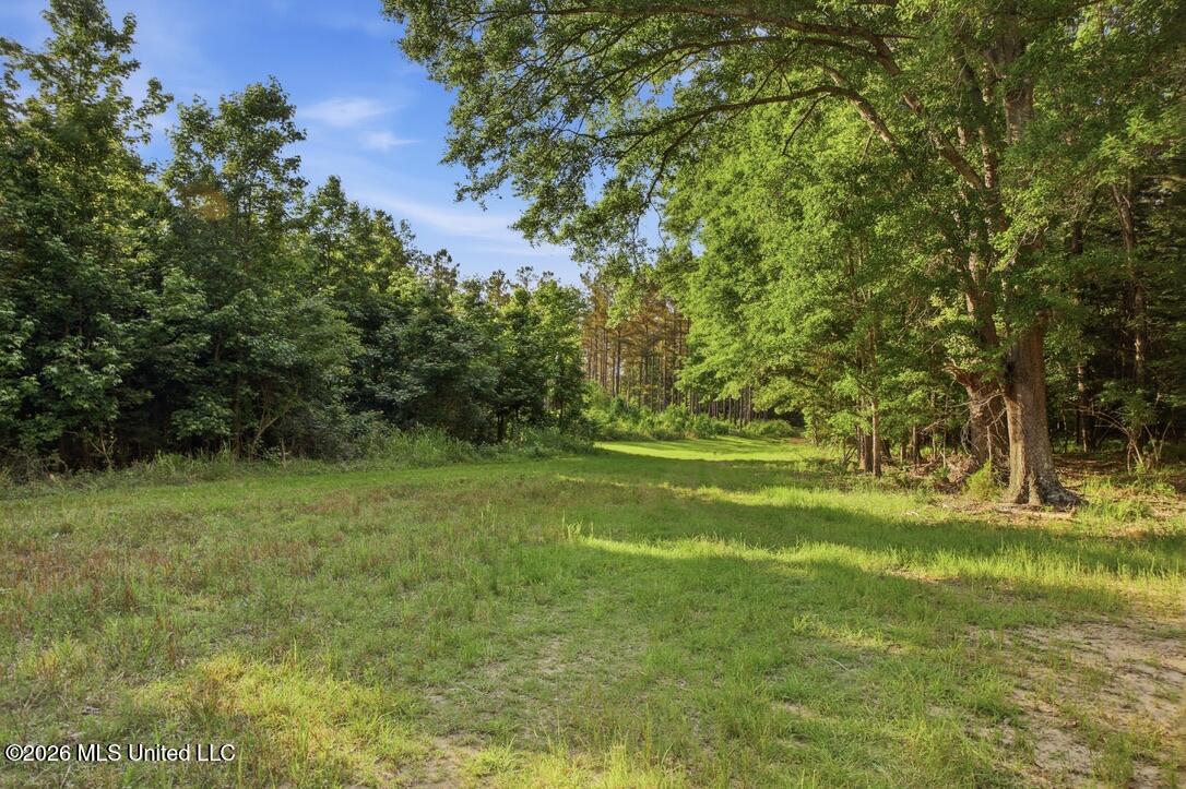 425 Rose Hill Road Bentonia, MS 39040 - Photo 43 of 150 D86867DA-1882-4021-AC53-BE61DDD0205F_1_1