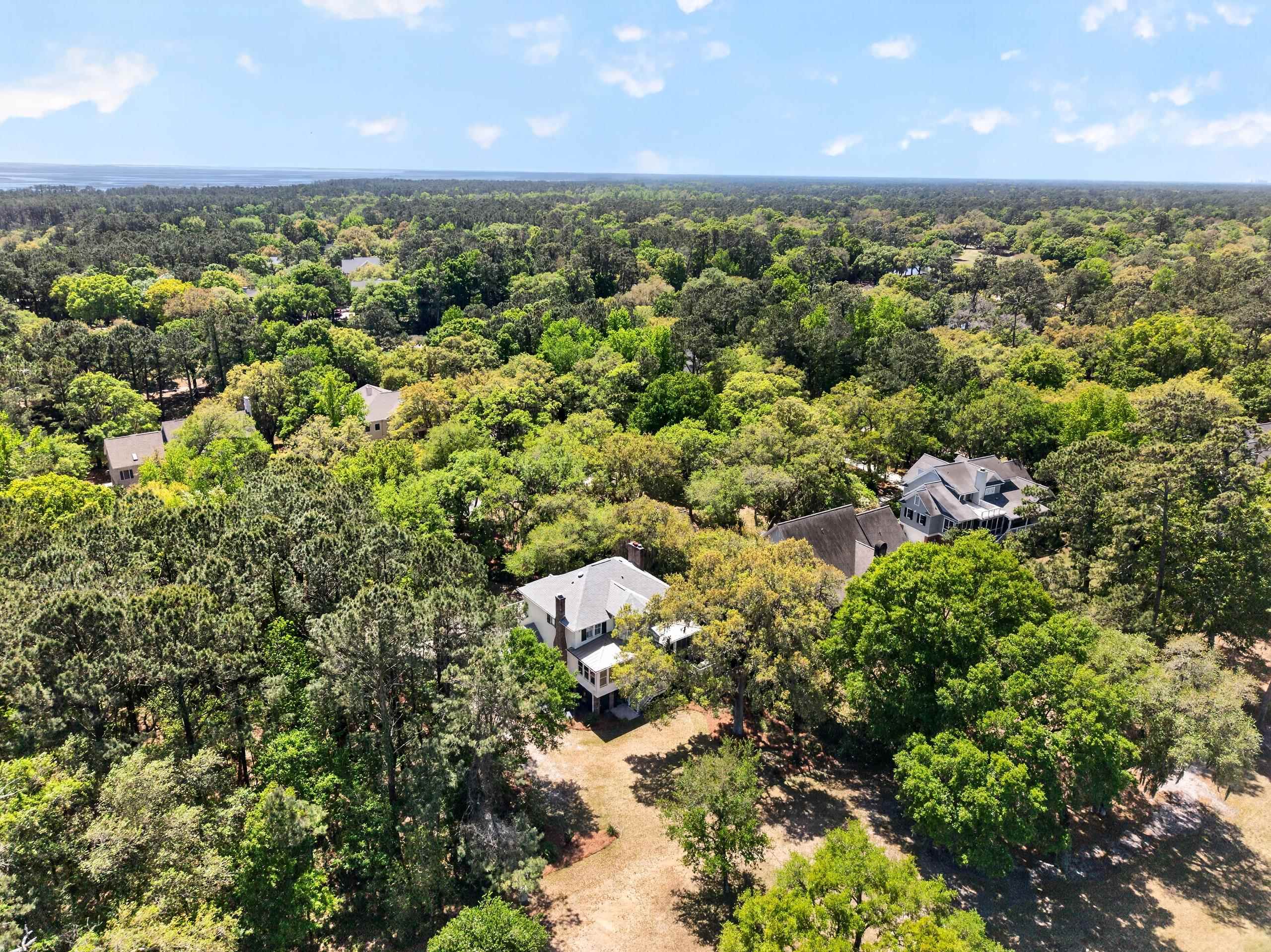 186 Sanderling Avenue Georgetown, SC 29440 - Photo 33 of 59