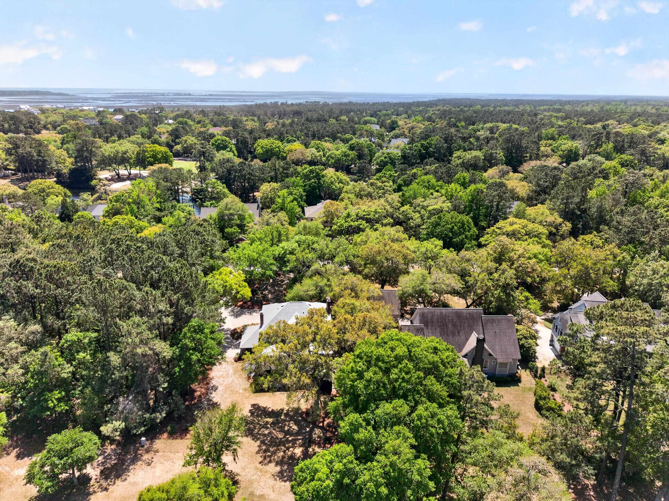 186 Sanderling Avenue Georgetown, SC 29440 - Photo 54 of 59