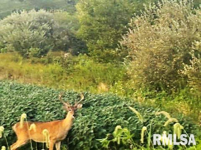 0 Campbell's Corner Road Macedonia, IL 62860 - Photo 1 of 12