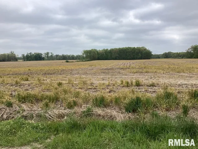 $300,000 | 0 Campbell's Corner Road, Macedonia, IL 62860