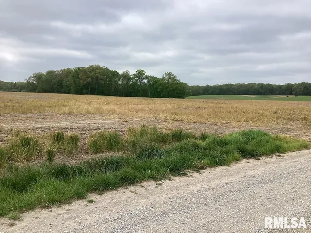 $300,000 | 0 Campbell's Corner Road, Macedonia, IL 62860