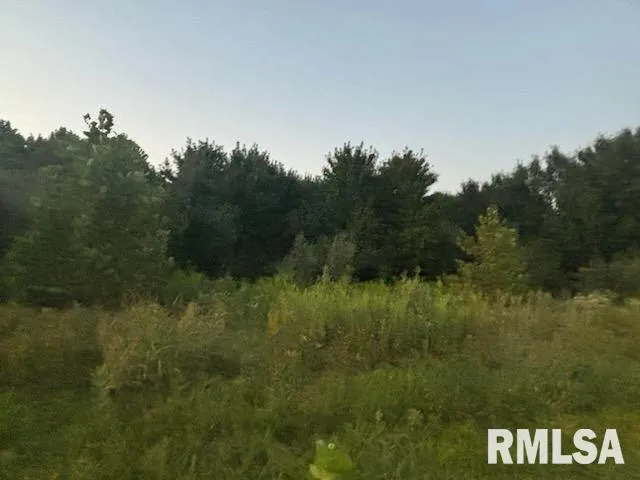 $300,000 | 0 Campbell's Corner Road, Macedonia, IL 62860