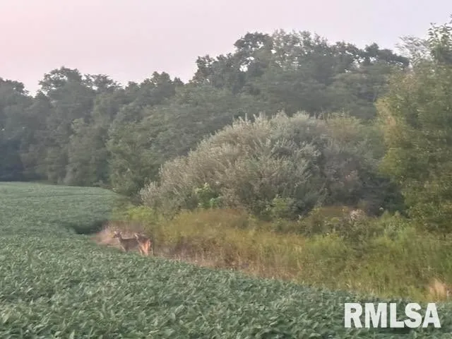 $300,000 | 0 Campbell's Corner Road, Macedonia, IL 62860