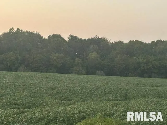 $300,000 | 0 Campbell's Corner Road, Macedonia, IL 62860
