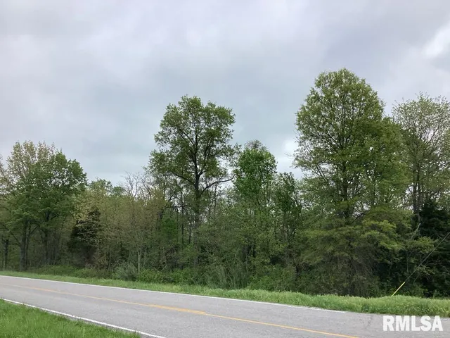 $300,000 | 0 Campbell's Corner Road, Macedonia, IL 62860