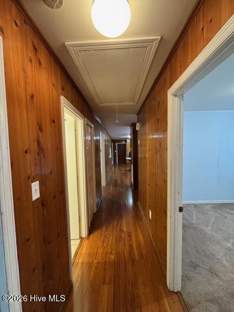 814 Piner Road Wilmington, NC 28409 - Photo 6 of 18 IMG_0894