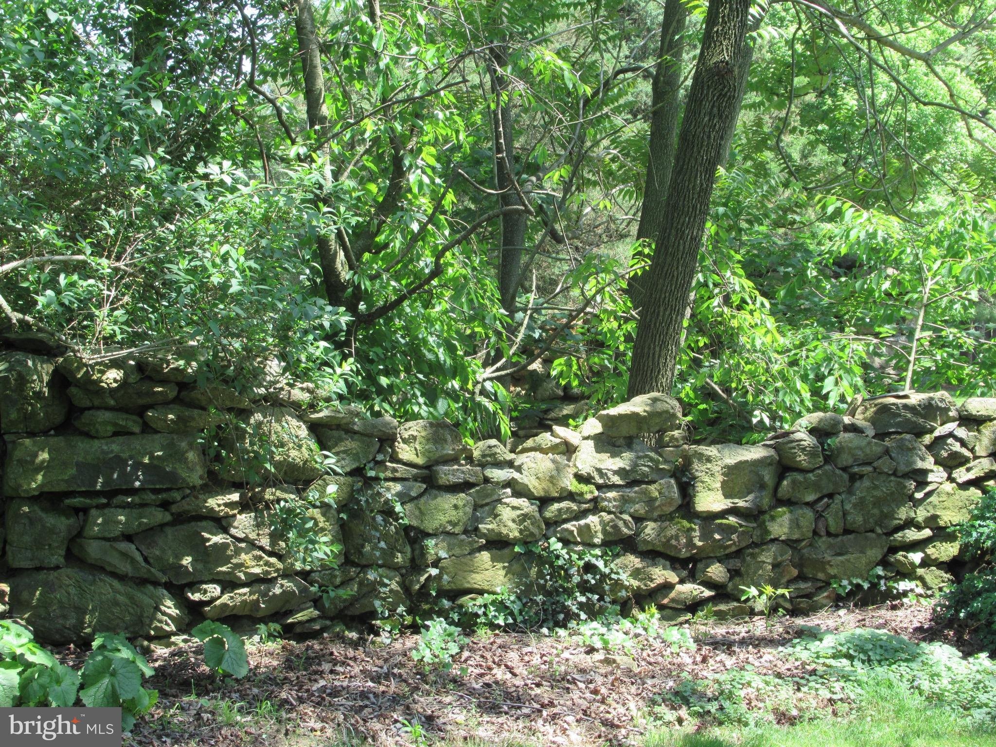 304 Pleasant Grove Road Conowingo, MD 21918 - Photo 27 of 29 Exterior (General)