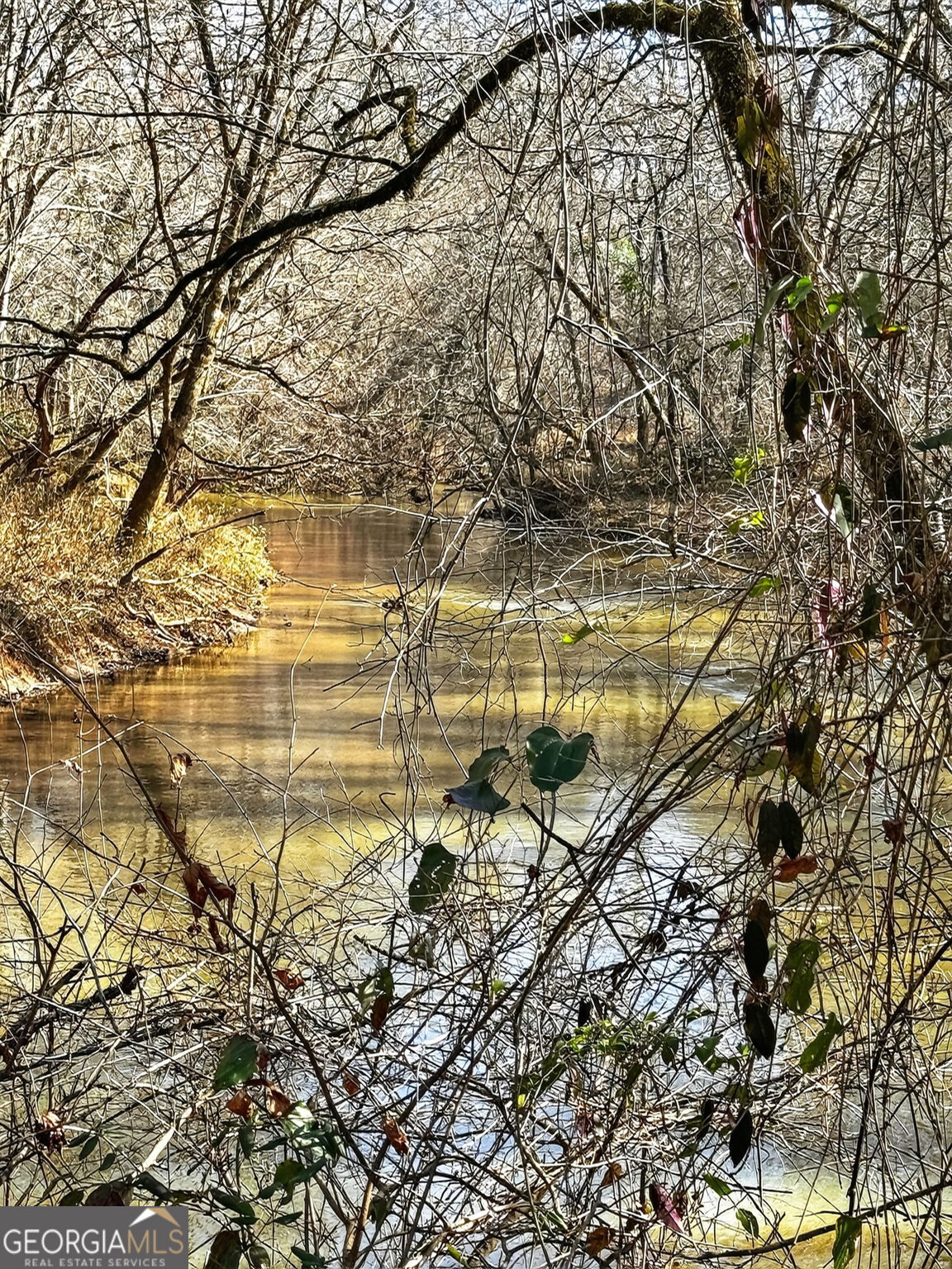 261 McIntosh Circle Jackson, GA 30233 - Photo 78 of 87