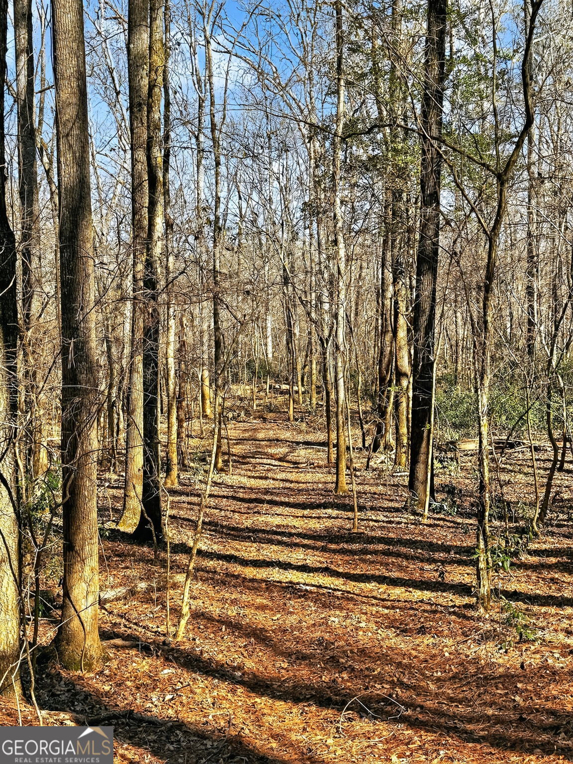 261 McIntosh Circle Jackson, GA 30233 - Photo 80 of 87