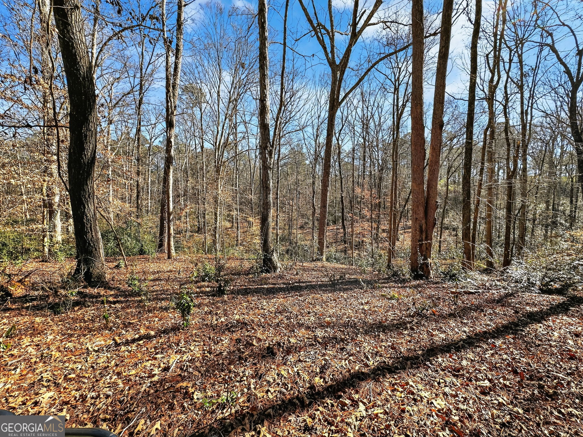 261 McIntosh Circle Jackson, GA 30233 - Photo 81 of 87