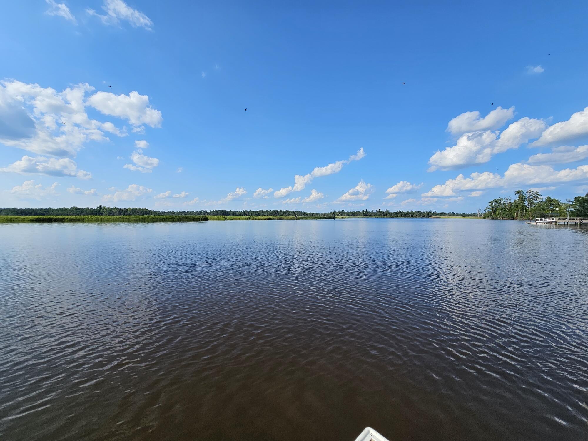 21 Red Fin Loop Georgetown, SC 29440 - Photo 15 of 48 a5773032-d3c6-42a1-9986-f178f79d49b4