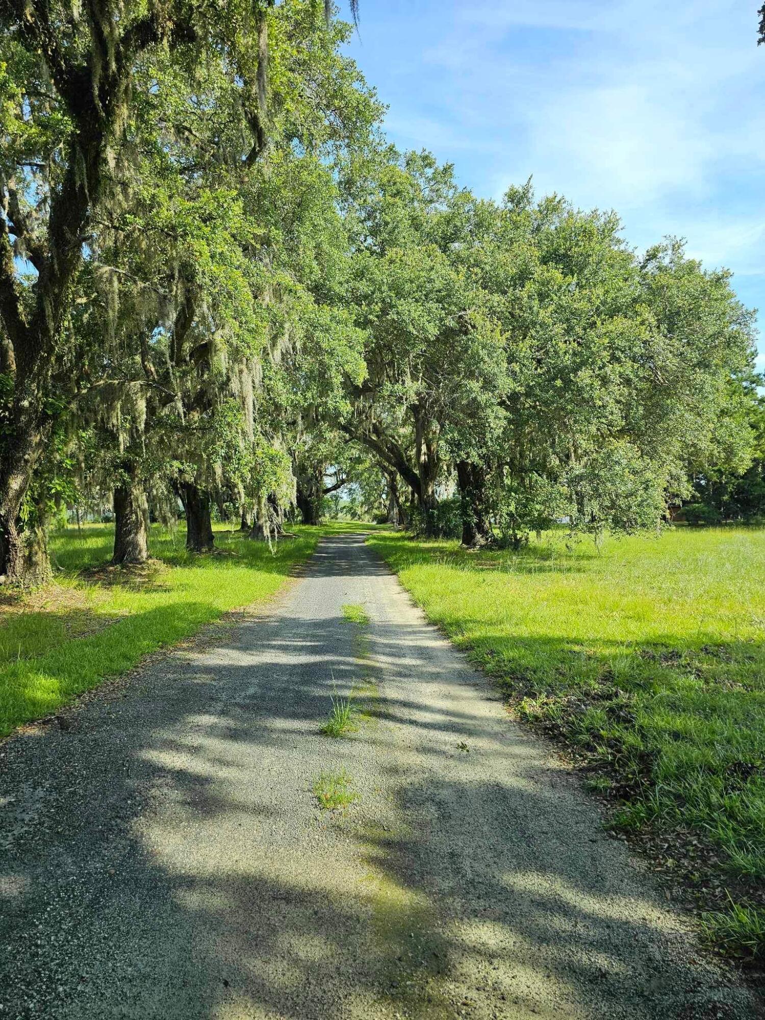 21 Red Fin Loop Georgetown, SC 29440 - Photo 5 of 48 IMG_3990