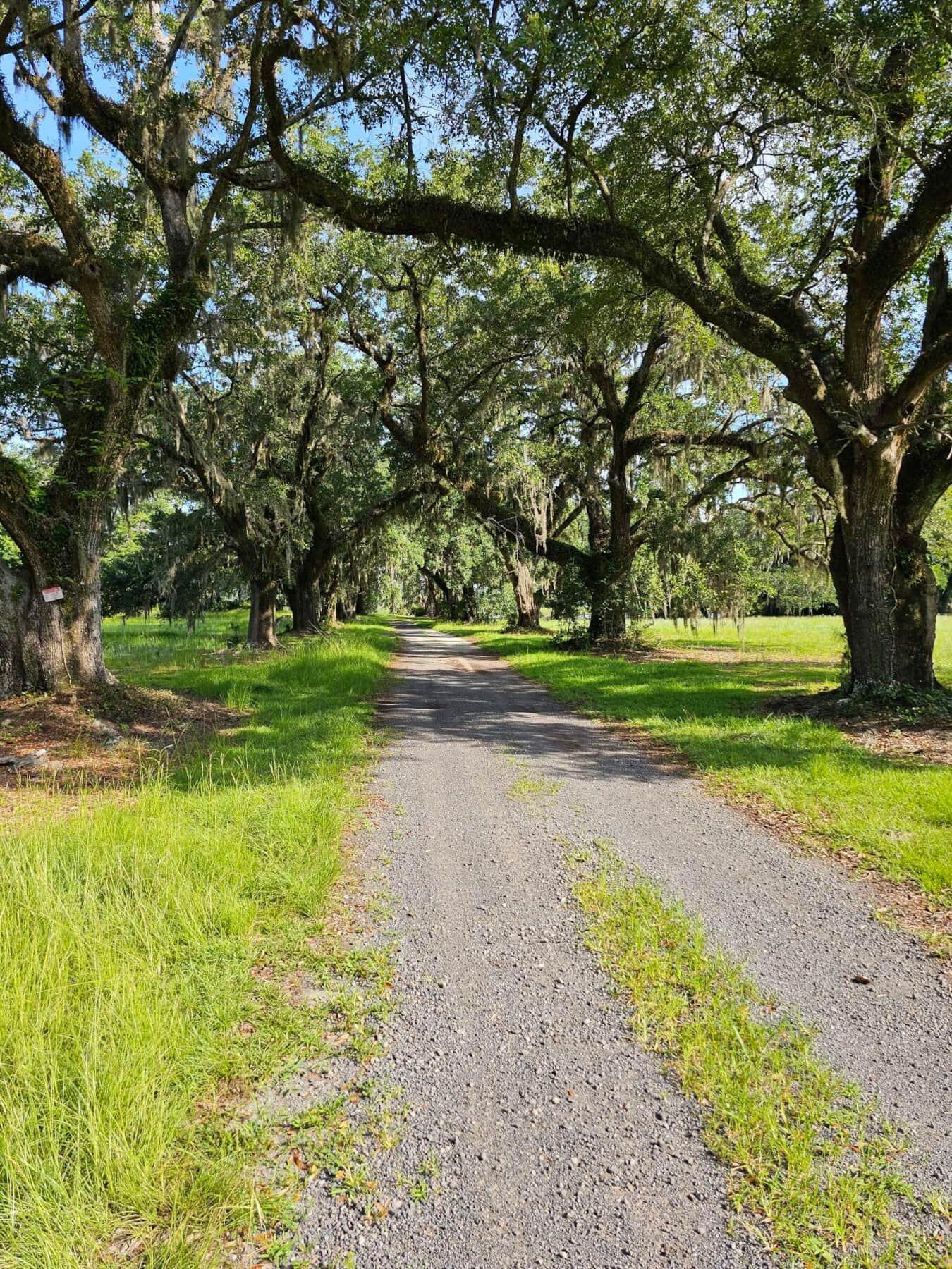 21 Red Fin Loop Georgetown, SC 29440 - Photo 6 of 48 467f1ec1-8e52-4adf-b1b4-bb355af0eed2