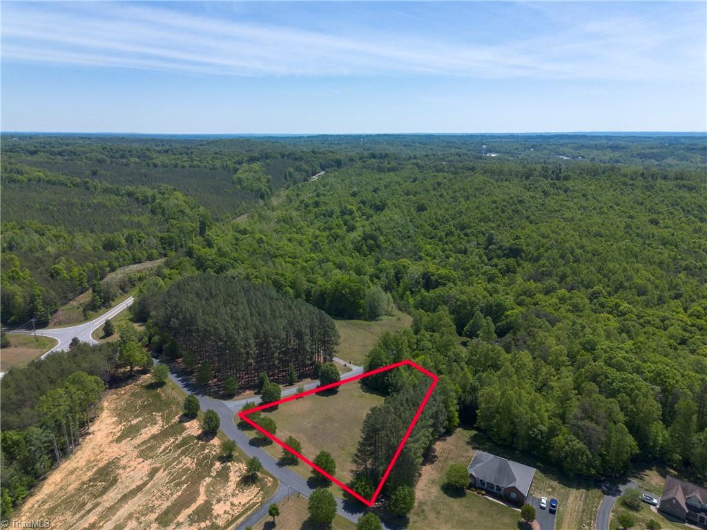 0 Mossdale Road Stoneville, NC 27048 - Photo 12 of 34