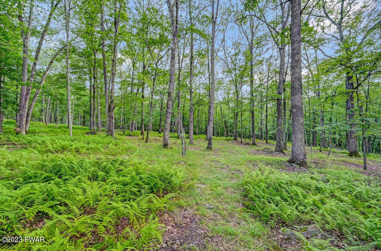 125 Laurel Road Lackawaxen, PA 18435 - Photo 66 of 87 125 Laurel Rd 75 Large