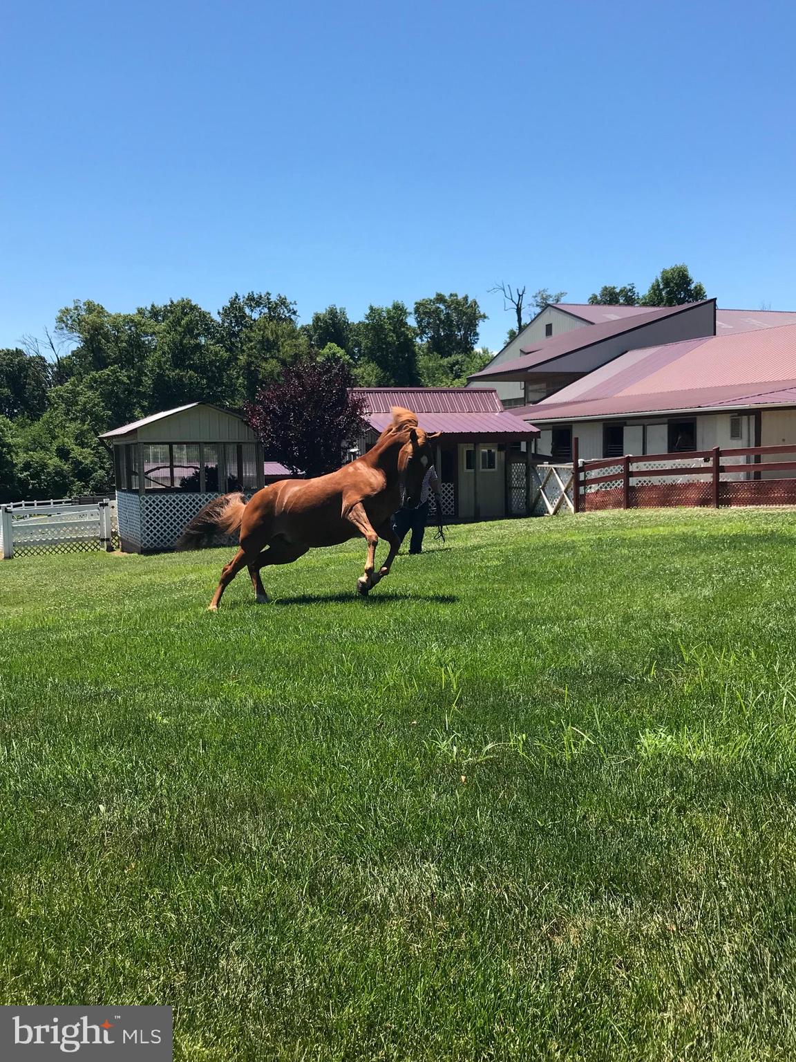 310 Mail Rte Road Sinking Spring, PA 19608 - Photo 41 of 45