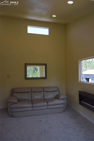 80 Spur Road Divide, CO 80814 - Photo 19 of 48 Carpeted living room with healthy amount of natural light, a high ceiling, and recessed lighting