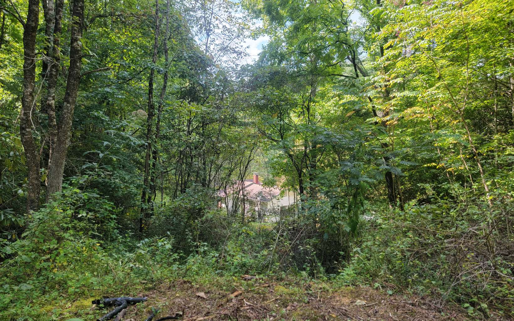 154 Dinkins Creek Road Murphy, NC 28906 - Photo 18 of 20 Additional View