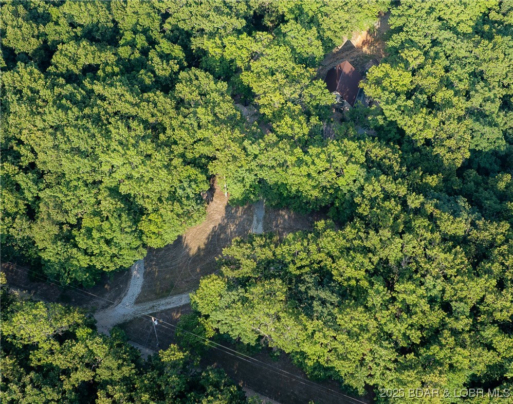 1070 Old Nonsuch Road Camdenton, MO 65020 - Photo 10 of 46 37.5 Acres