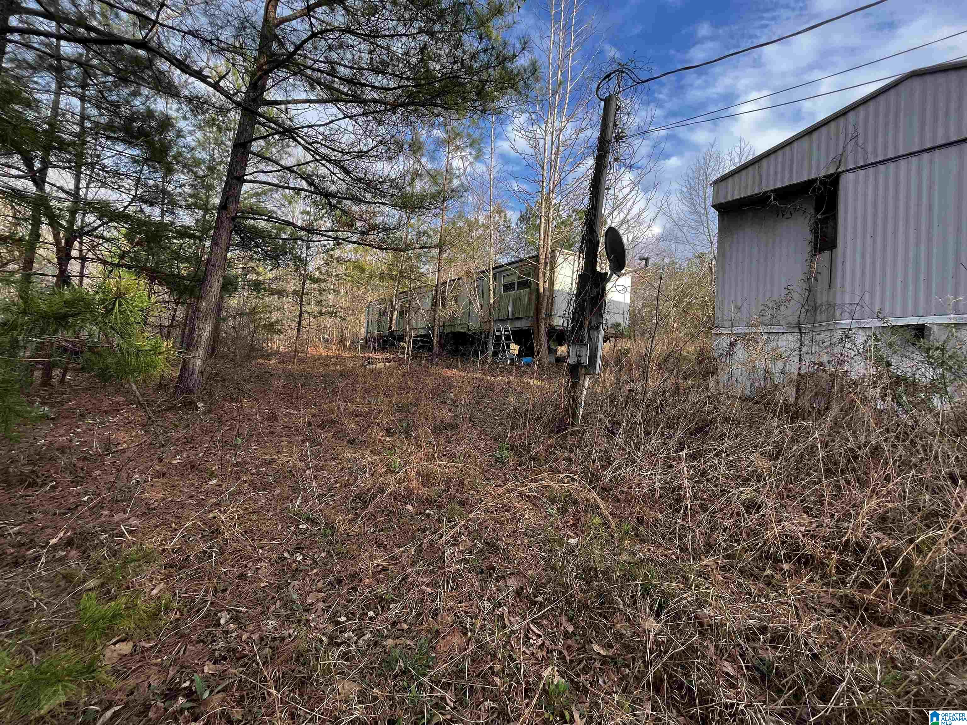 879 County Road 772 Montevallo, AL 35115 - Photo 6 of 8