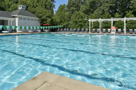 a view of a park with large trees and plants