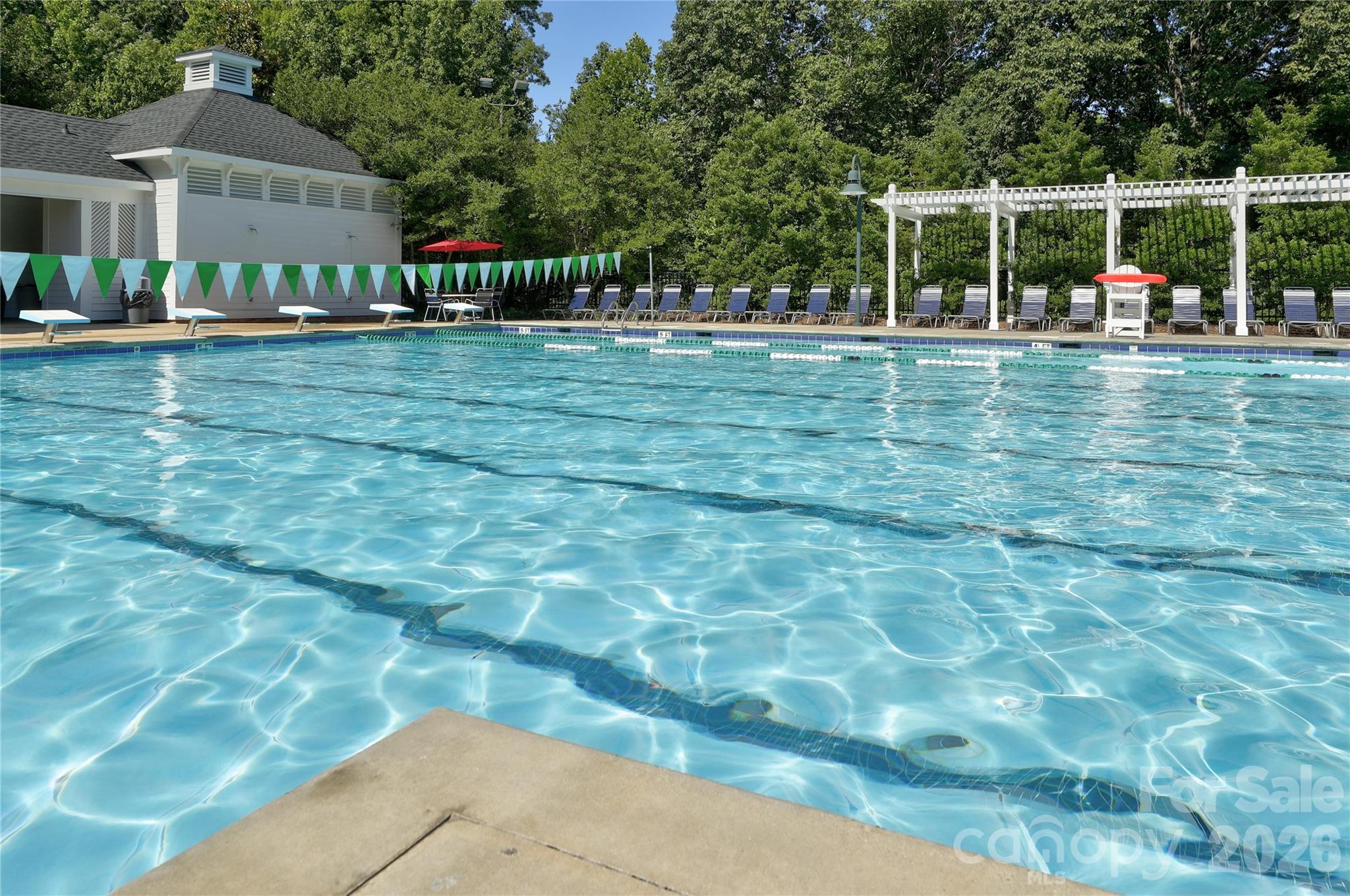 3264 Richard's Crossing Fort Mill, SC 29708 - Photo 45 of 48 a view of a park with large trees and plants