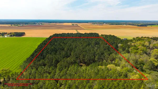 $350,000 | Tbd Corley Road, Walnut Hill, FL 32568