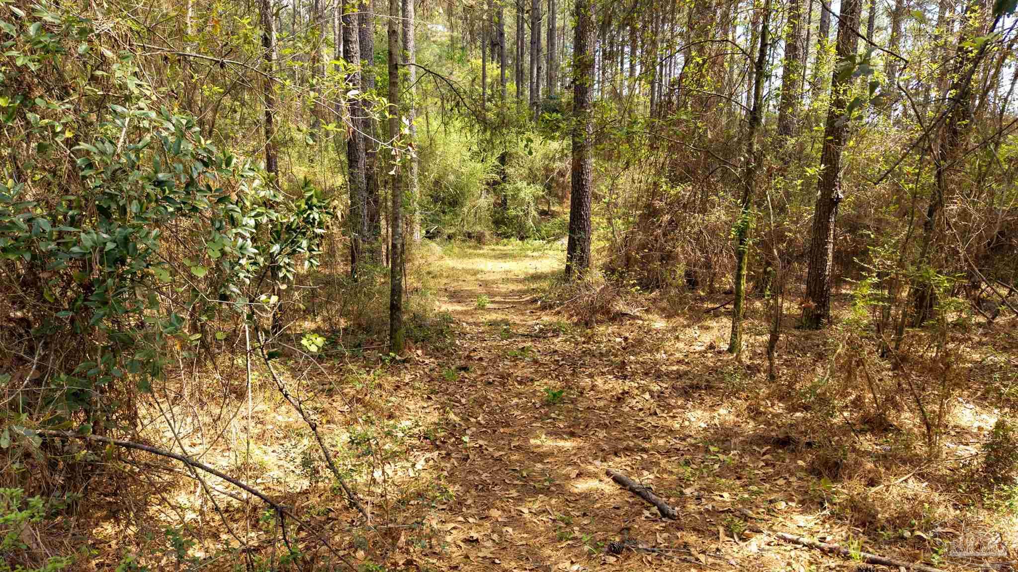 Tbd Corley Road Walnut Hill, FL 32568 - Photo 11 of 20