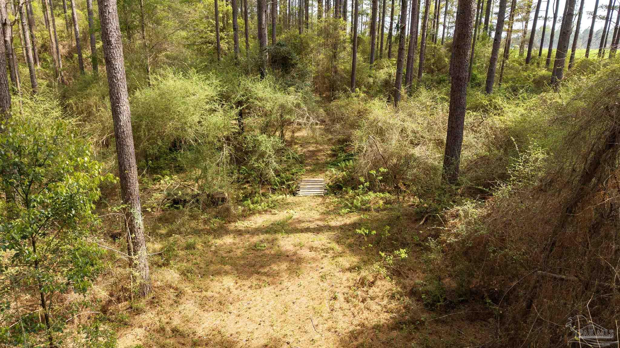 Tbd Corley Road Walnut Hill, FL 32568 - Photo 12 of 20