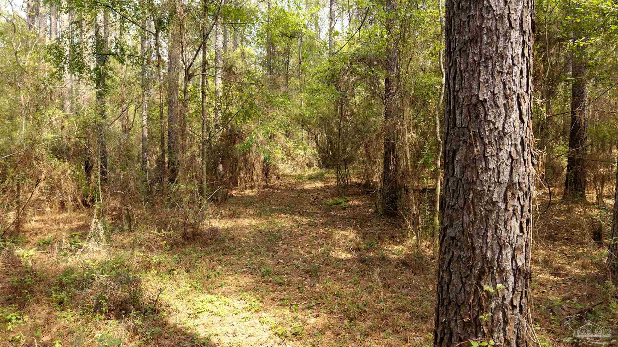 Tbd Corley Road Walnut Hill, FL 32568 - Photo 13 of 20